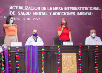 Interinstitucional de Salud Mental y Adicciones