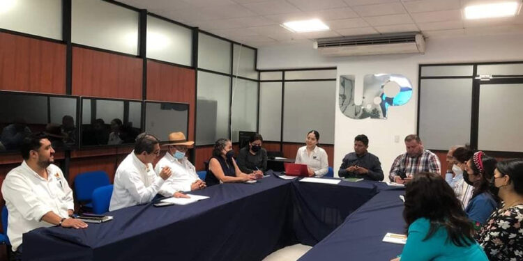 Trabajo conjunto pone a Tuxtla como líder en economía social
