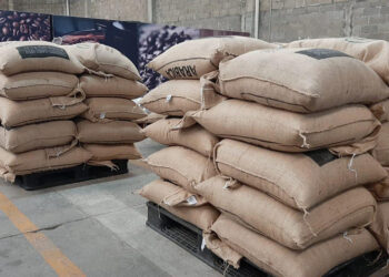 Producción de café en riesgo