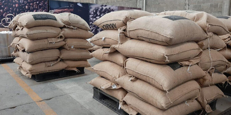 Producción de café en riesgo