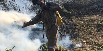 Desde dos mil a 481 mil pesos son las multas