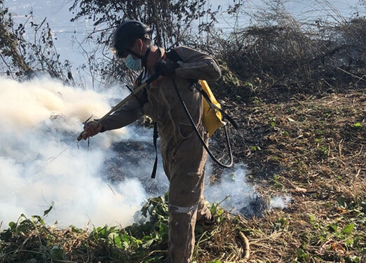 Desde dos mil a 481 mil pesos son las multas