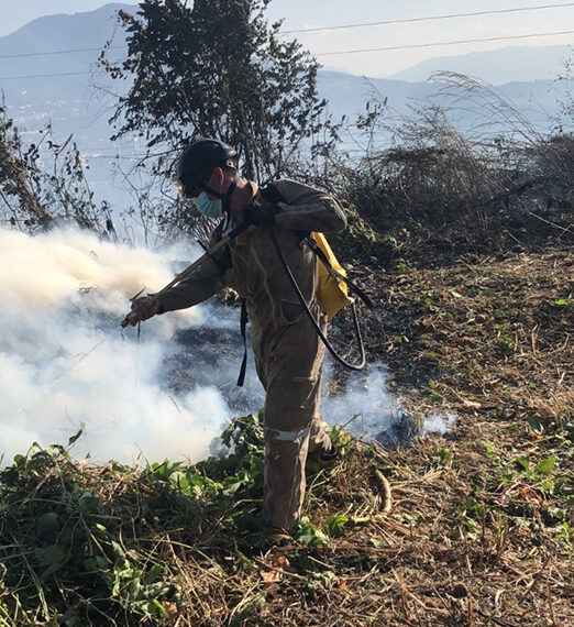 Desde dos mil a 481 mil pesos son las multas