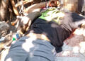 Fémina fue asesinada de tres cuchilladas