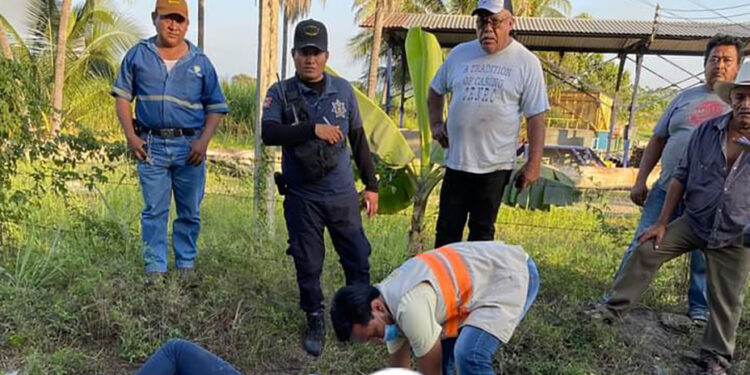 Aterrizó en el montazal