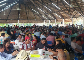 DEMOCRACIA VIRTUAL