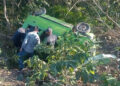 Trágico accidente