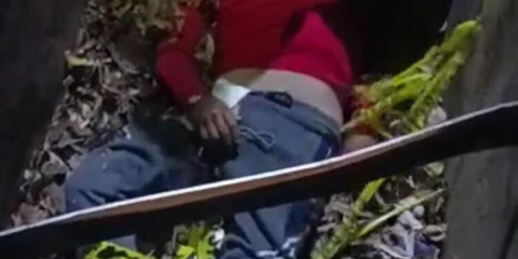 Terminó en la alcantarilla