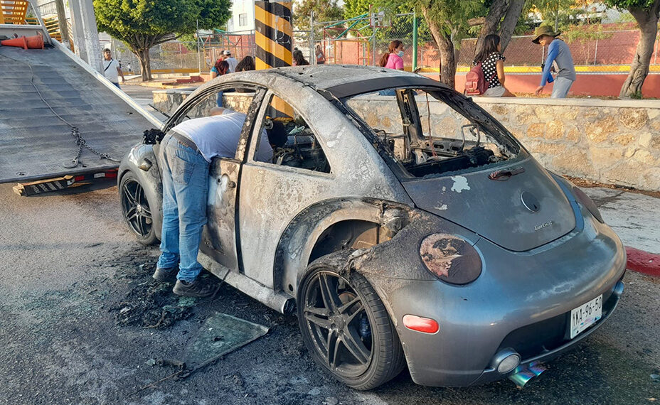 Escarabajo chamuscado