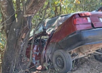 Abrazado de un árbol