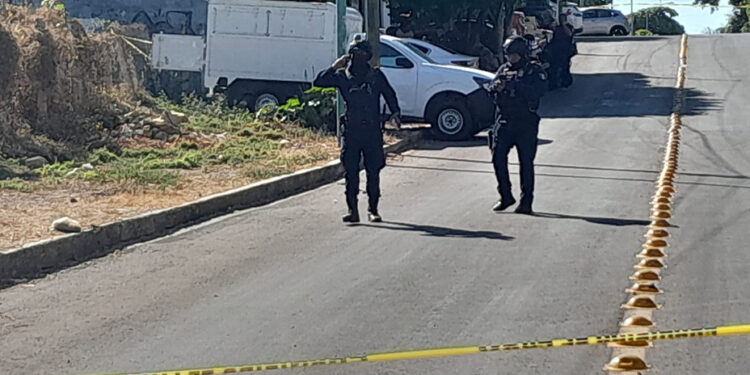 Cadáver en descomposición