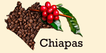 COLABORACIÓN INVITADA