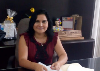 Iniciativa permanece en la congeladora
