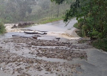 Lluvias causan estragos