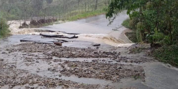 Lluvias causan estragos