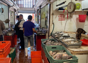 Salud verifica venta de pescados y mariscos por cuaresma