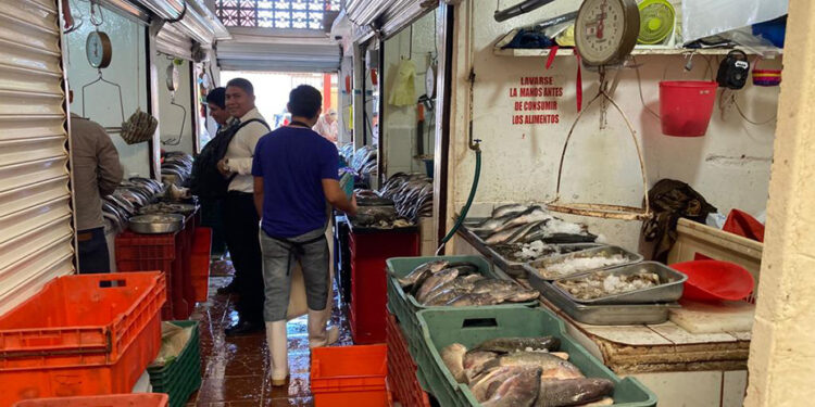 Salud verifica venta de pescados y mariscos por cuaresma