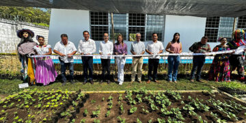 Celebra el día mundial de las legumbres