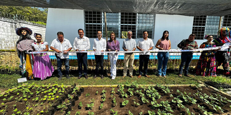 Celebra el día mundial de las legumbres