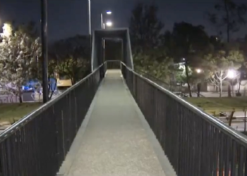 Sobrevivió de milagro: un joven ebrio cayó de un puente peatonal