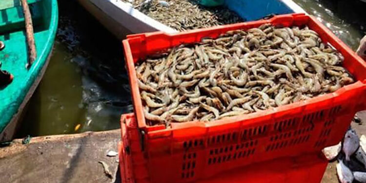 Veda es una advertencia