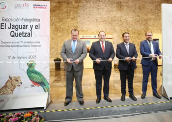 El poderoso jaguar y el mítico quetzal muestran su esplendor