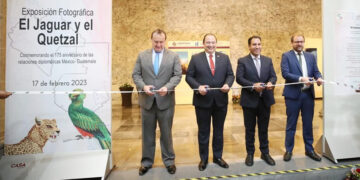 El poderoso jaguar y el mítico quetzal muestran su esplendor