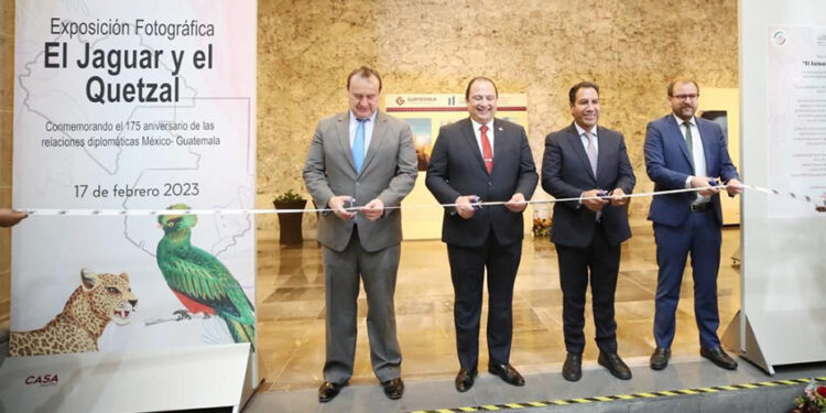 El poderoso jaguar y el mítico quetzal muestran su esplendor