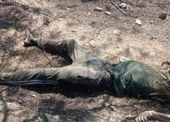 Encuentran esqueleto humano