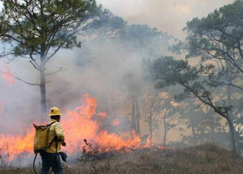 Incendios prenden alertas