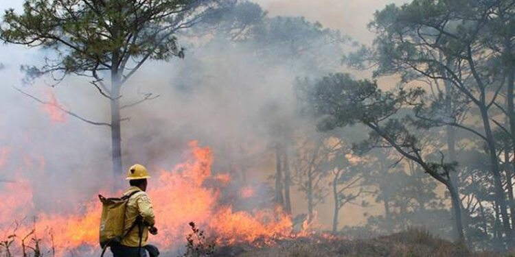 Incendios prenden alertas