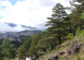 Son las montañas el ecosistema más amenazado en Chiapas