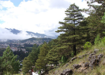 Son las montañas el ecosistema más amenazado en Chiapas