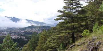 Son las montañas el ecosistema más amenazado en Chiapas