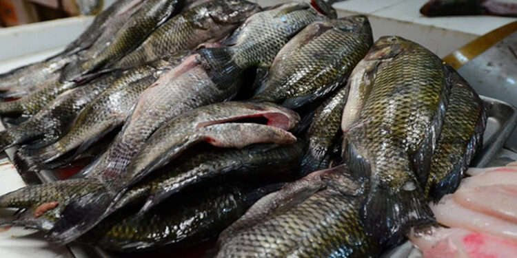 Costos de pescados y mariscos suben un 40 por ciento