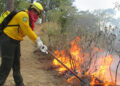 Van por el rescate de zona dañada por incendios