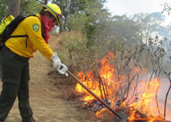 Van por el rescate de zona dañada por incendios