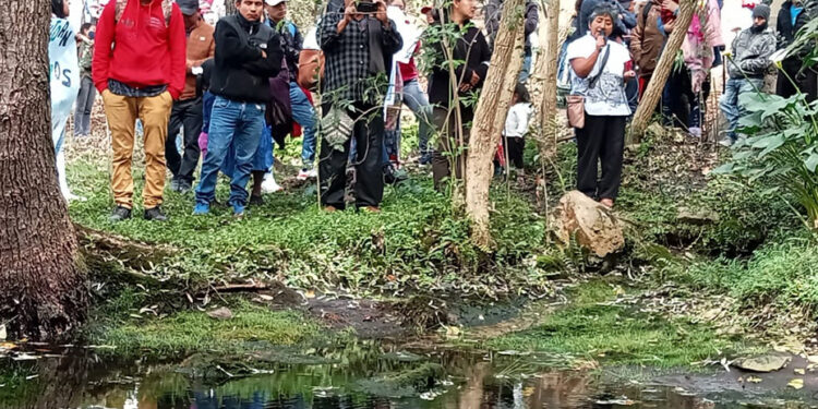 Inicia la campaña Salvemos los Humedales