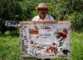 Opción para resolver caso Chimalapas