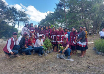 Congruencia, sororidad y compromiso: CCME