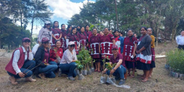 Congruencia, sororidad y compromiso: CCME