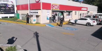 Los traen de “puerquitos”