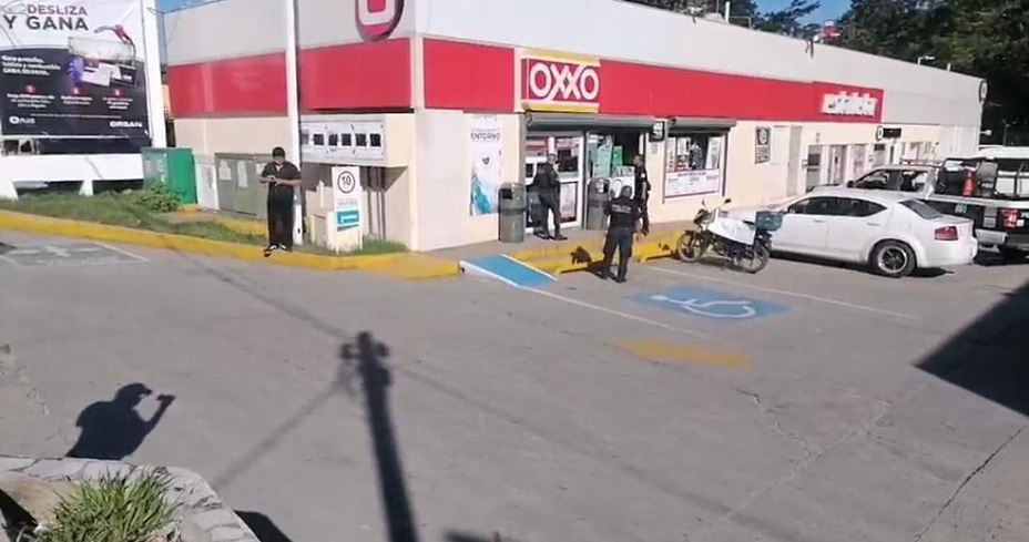 Los traen de “puerquitos”