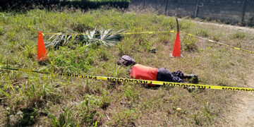 Le rebanaron el cuello