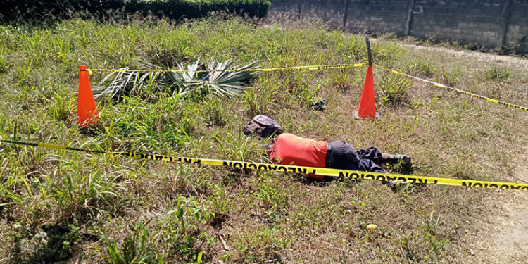 Le rebanaron el cuello