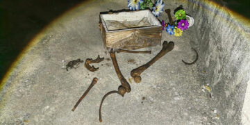 Alerta por osamenta humana