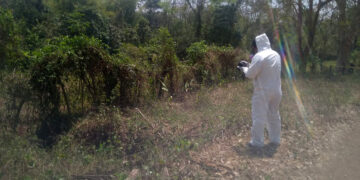 La dejaron en el monte