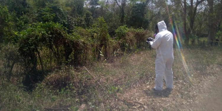 La dejaron en el monte