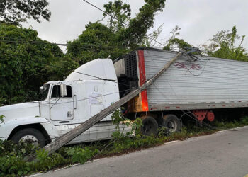 Atrapado en  Telaraña