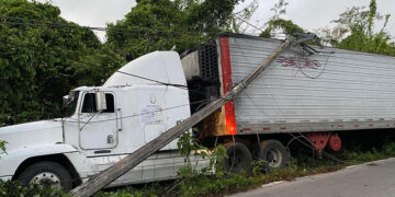 Atrapado en  Telaraña